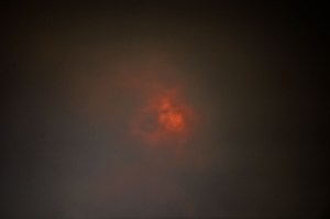 Rowan Conroy, 'Natura Naturans', 2014