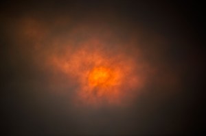 Rowan Conroy, 'Natura Naturans', 2014