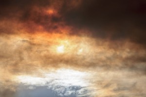 Rowan Conroy, 'Natura Naturans', 2014