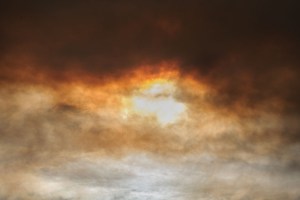 Rowan Conroy, 'Natura Naturans', 2014