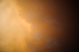 Rowan Conroy, 'Natura Naturans', 2014