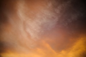 Rowan Conroy, 'Natura Naturans', 2014