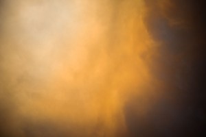 Rowan Conroy, 'Natura Naturans', 2014