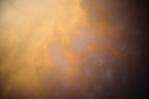 Rowan Conroy, 'Natura Naturans', 2014