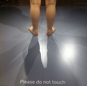 In the Flesh, National Portrait Gallery