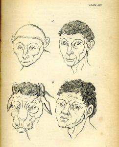 Johannes Kaspar Lavater, 'Essays in Physiognomy', plate 29.