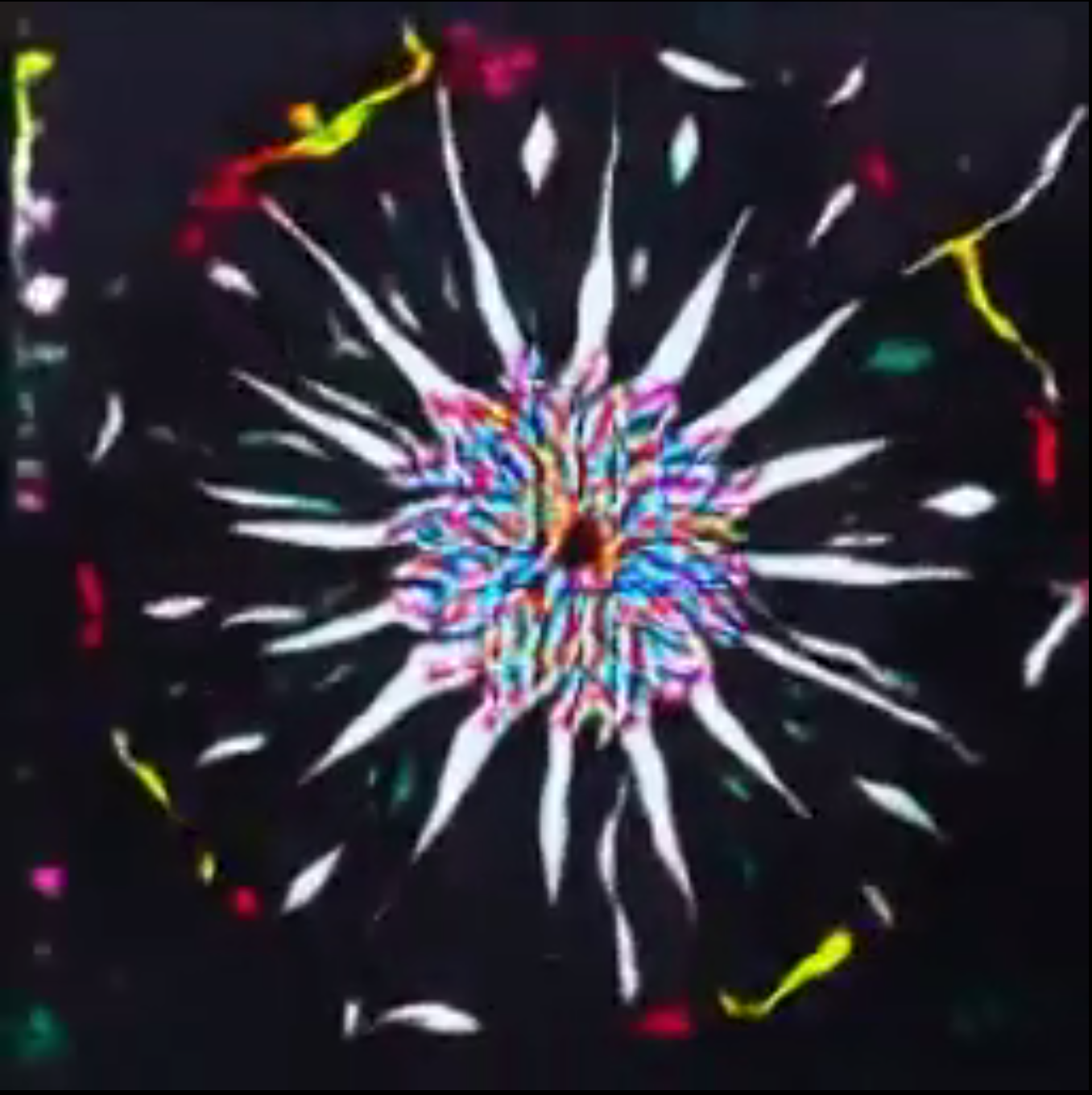 Screen Shot 2019-04-07 at 8.19.08 pm