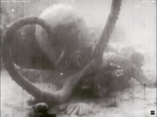 Octopus.jpg